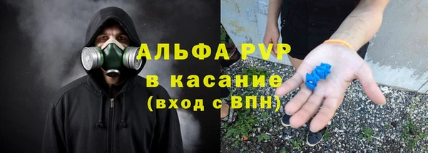 тгк Ельня
