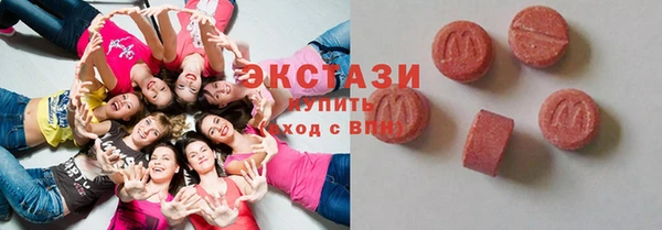 тгк Ельня