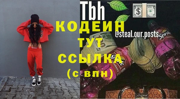 тгк Ельня