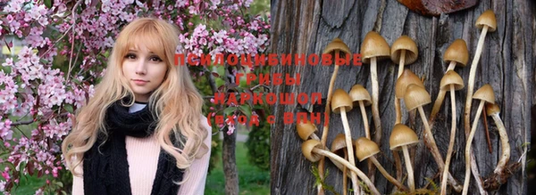 не бодяженный Елабуга