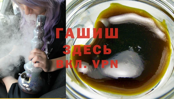 тгк Ельня