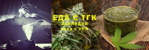 тгк Ельня