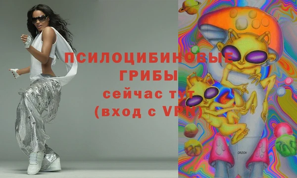 тгк Ельня