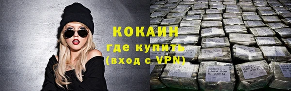 тгк Ельня