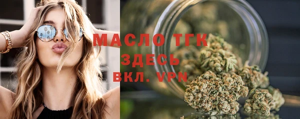 тгк Ельня