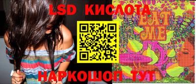 крисы Берёзовский