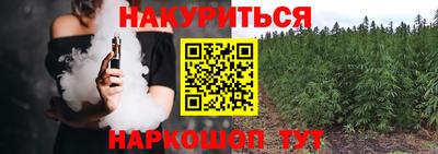 крисы Берёзовский