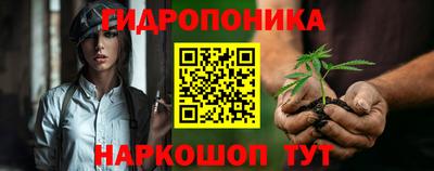 крисы Берёзовский