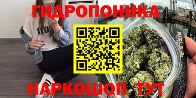 прущая мука Беслан