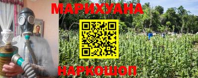 индика Будённовск