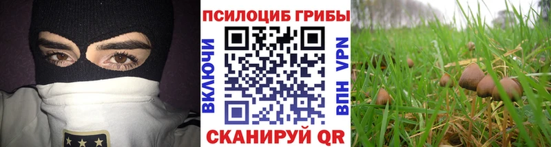 Галлюциногенные грибы MAGIC MUSHROOMS  hydra ссылки  Гагарин 