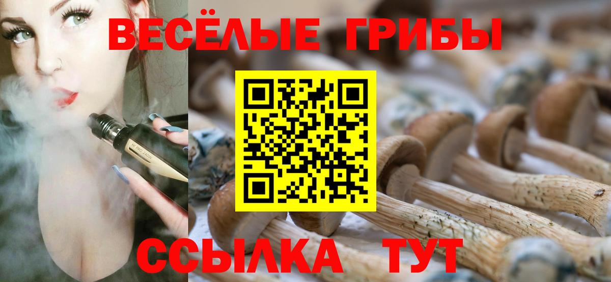 Псилоцибиновые грибы Psilocybe Гагарин