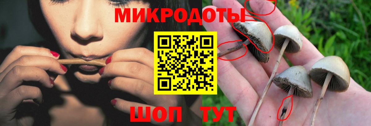 где можно купить   Галлюциногенные грибы MAGIC MUSHROOMS  Вход с VPN  Гагарин  Галлюциногенные грибы Magic Shrooms 